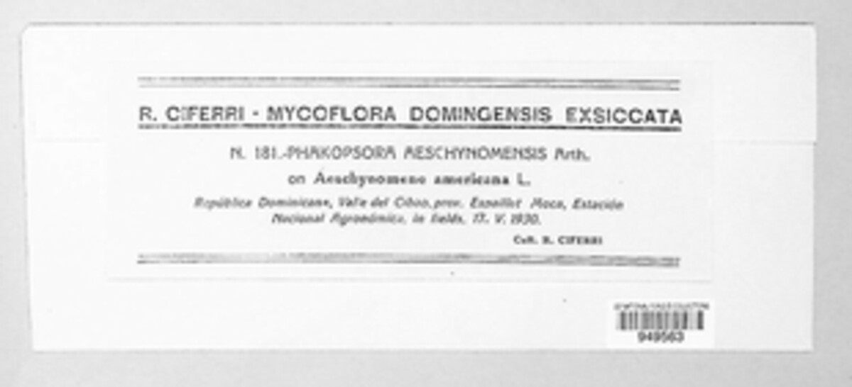 Phakopsora aeschynomenes image